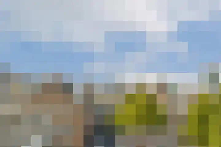 Oostplein 145 Rotterdam thumbnail 16