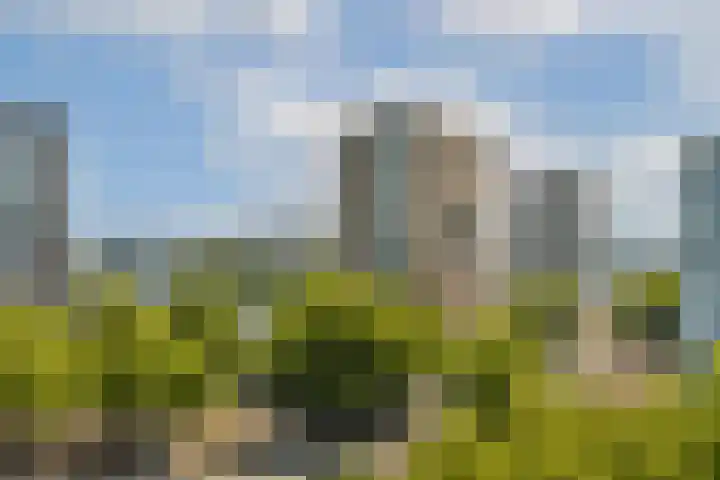 Oostplein 145 Rotterdam thumbnail 25