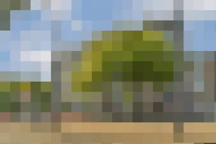 Oostplein 145 Rotterdam thumbnail 5