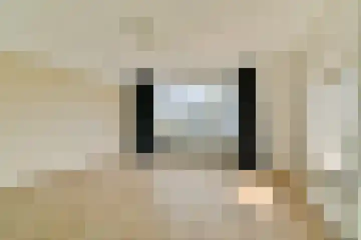 Oostplein 145 Rotterdam thumbnail 9