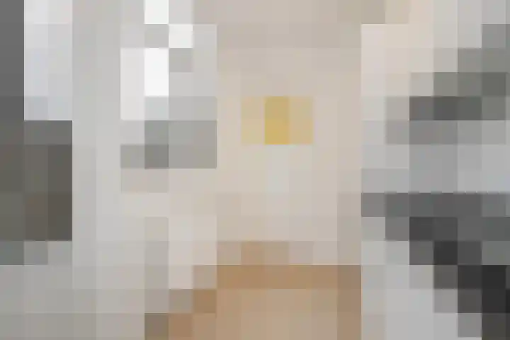 Oostplein 8 Delft thumbnail 8