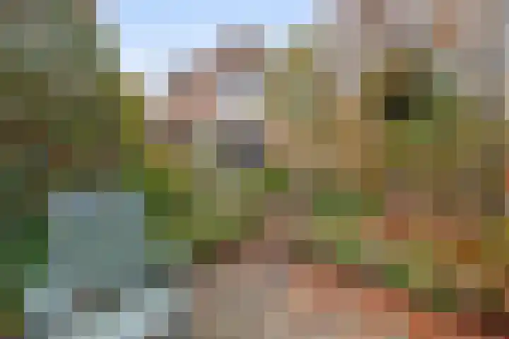 Oostpolderweg 4 Waddinxveen thumbnail 16