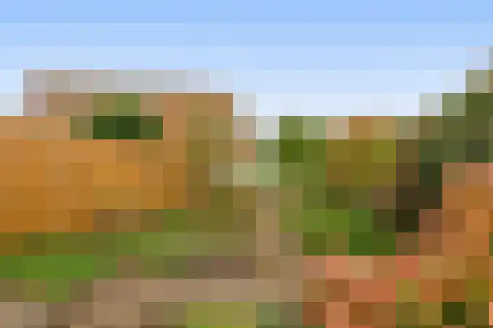Oostpolderweg 4 Waddinxveen thumbnail 25
