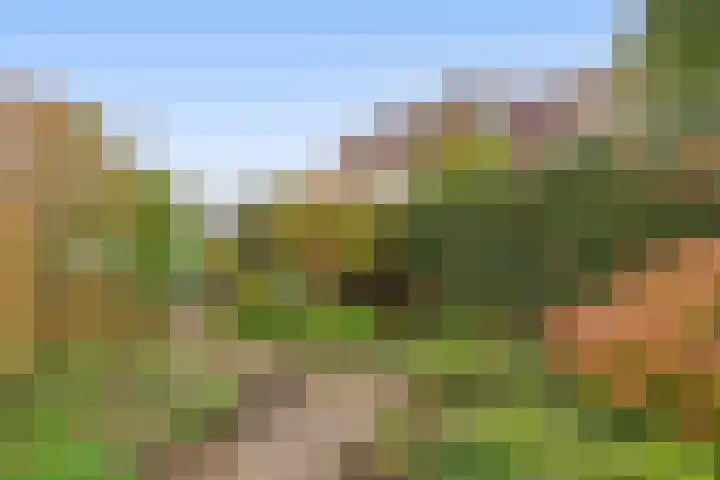 Oostpolderweg 4 Waddinxveen thumbnail 26
