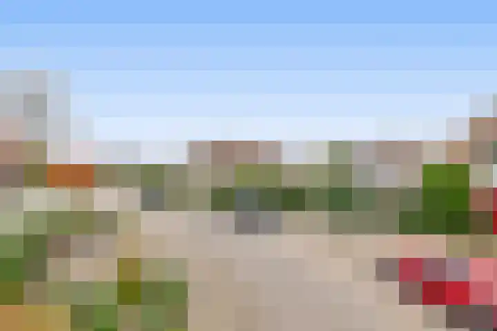 Oostpolderweg 4 Waddinxveen thumbnail 35
