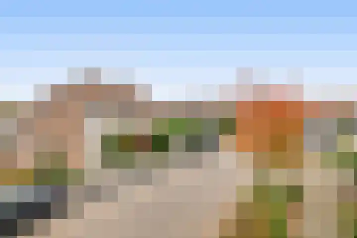 Oostpolderweg 4 Waddinxveen thumbnail 36