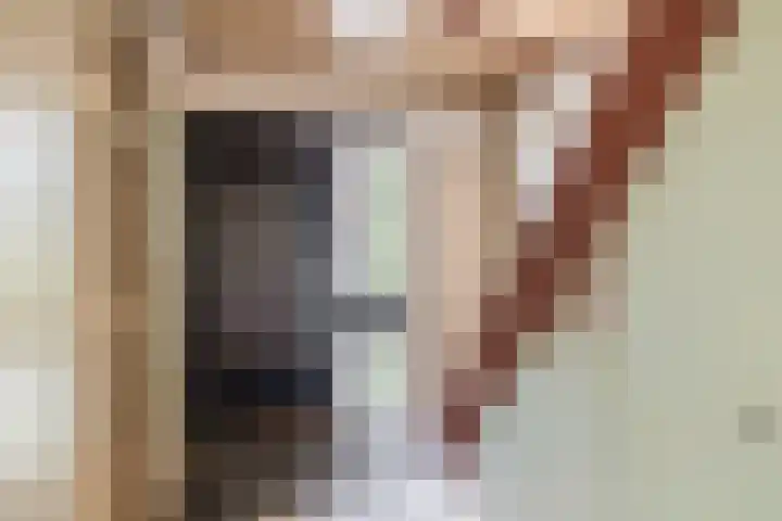 Oostpolderweg 4 Waddinxveen thumbnail 8