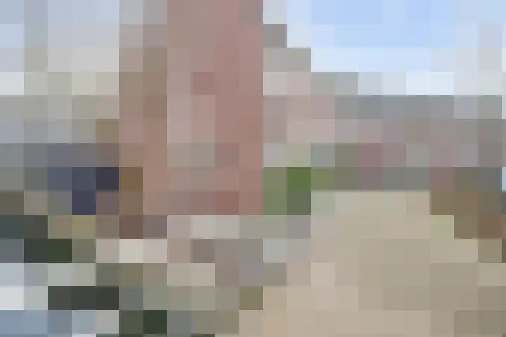 Oostpolderweg 50 Waddinxveen thumbnail 31