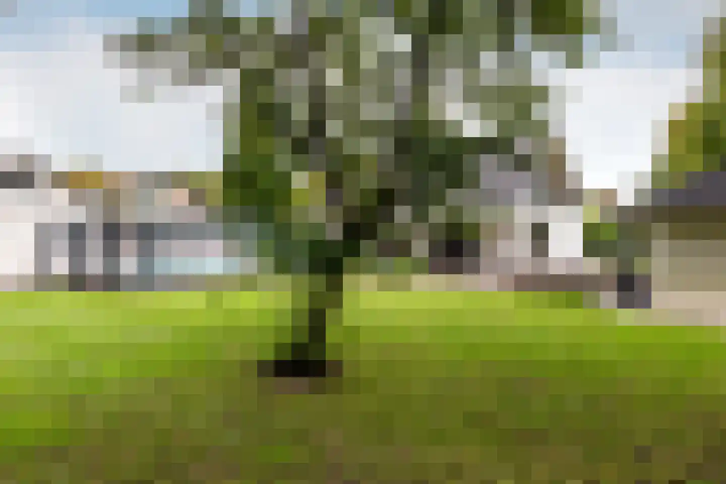 Oostrandpark 11 Lelystad thumbnail 46