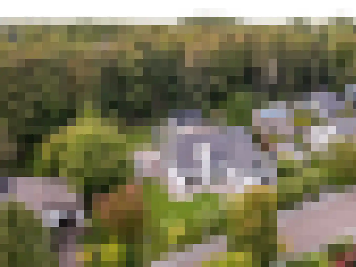Oostrandpark 11 Lelystad thumbnail 6