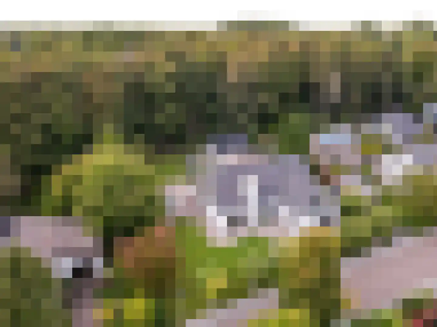 Oostrandpark 11 Lelystad thumbnail 6