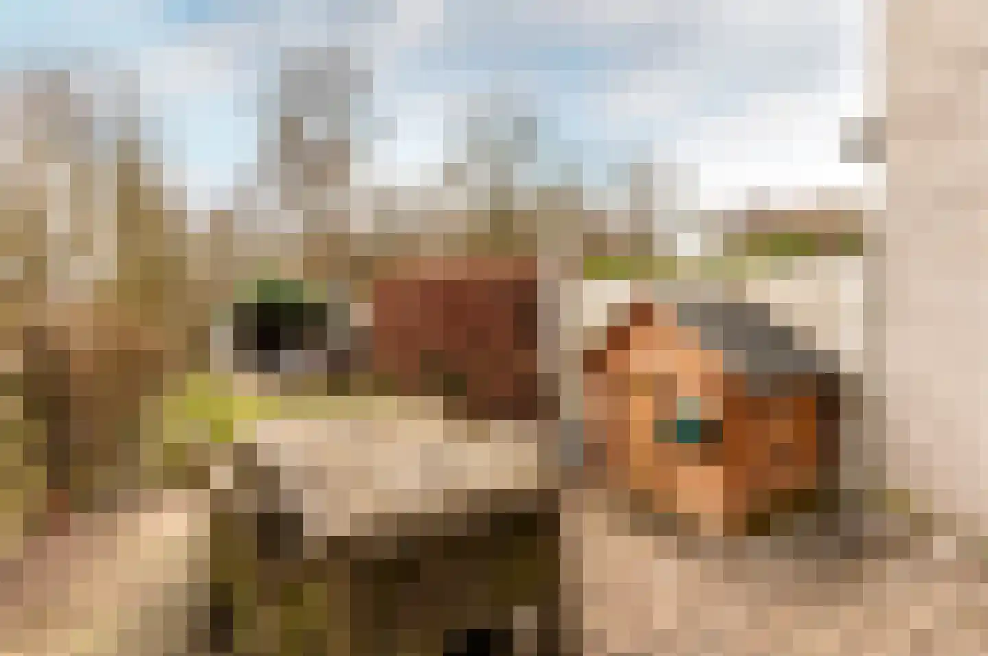 Oostrandpark 117 Lelystad thumbnail 34