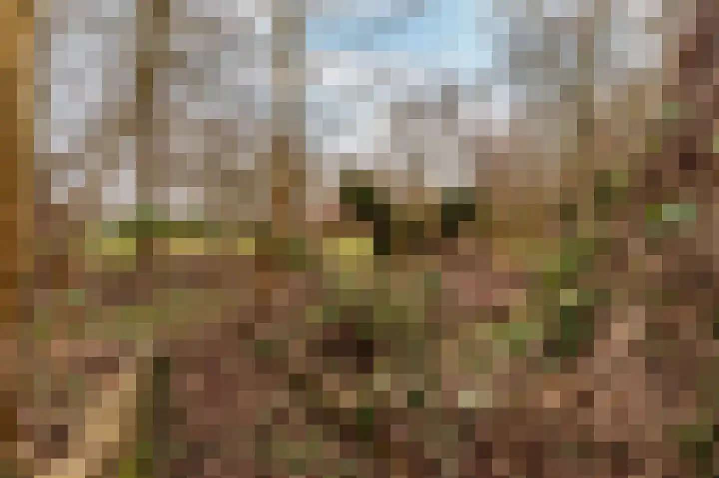 Oostrandpark 117 Lelystad thumbnail 35