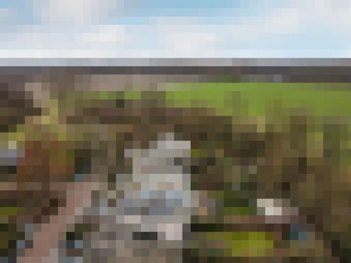 Oostrandpark 117 Lelystad thumbnail 53