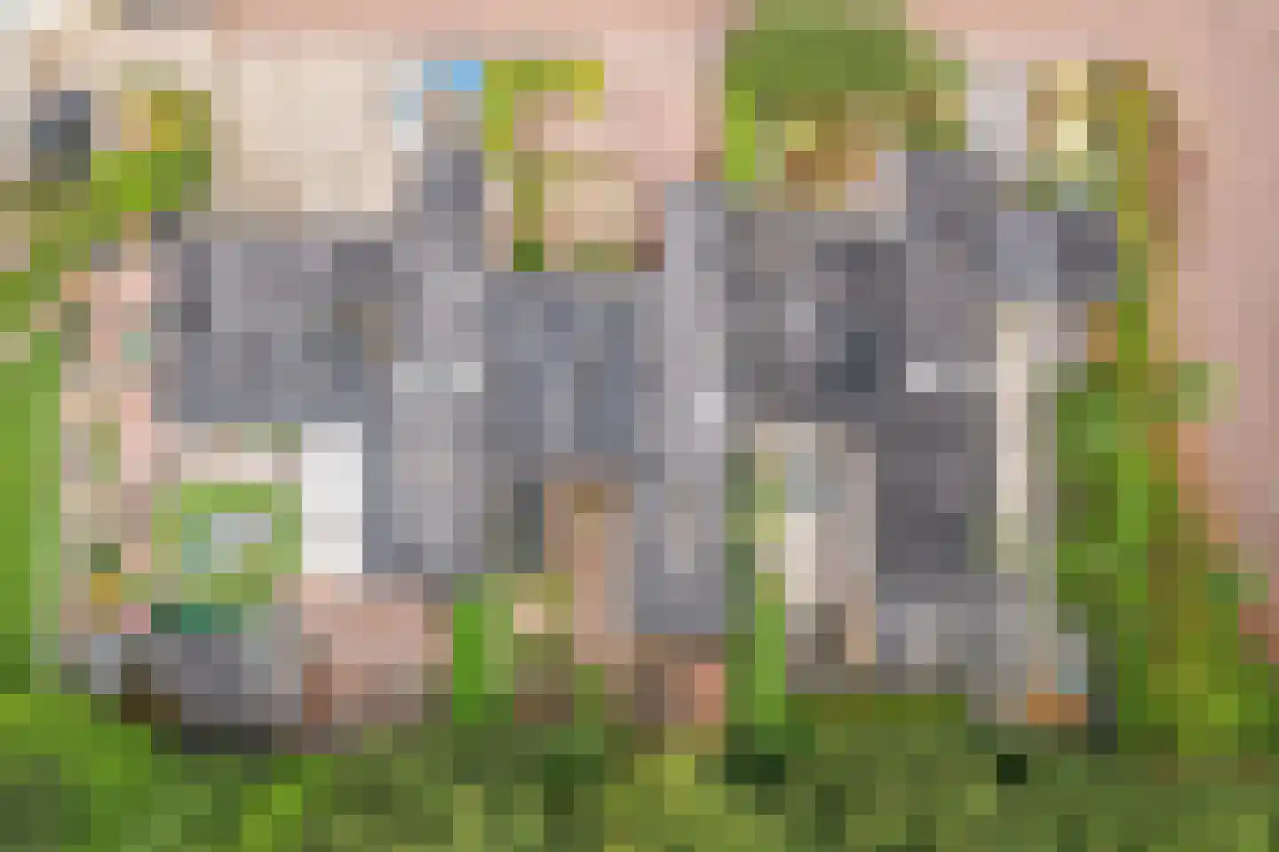 Oostrandpark 67 Lelystad thumbnail 53
