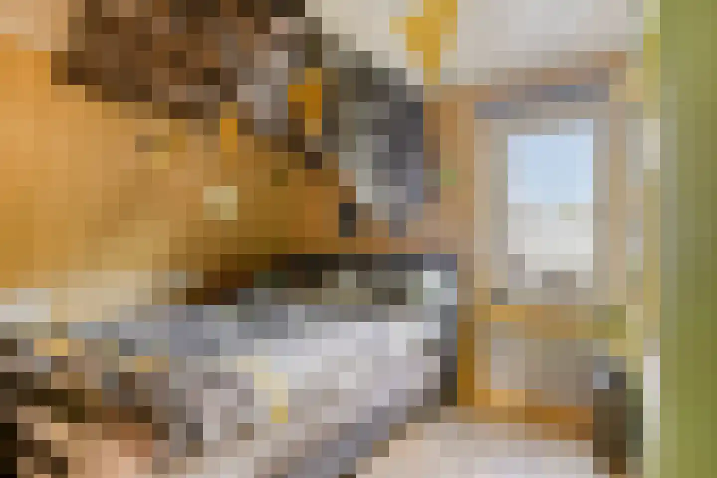 Oostrikkerstraat 14 Leende thumbnail 32