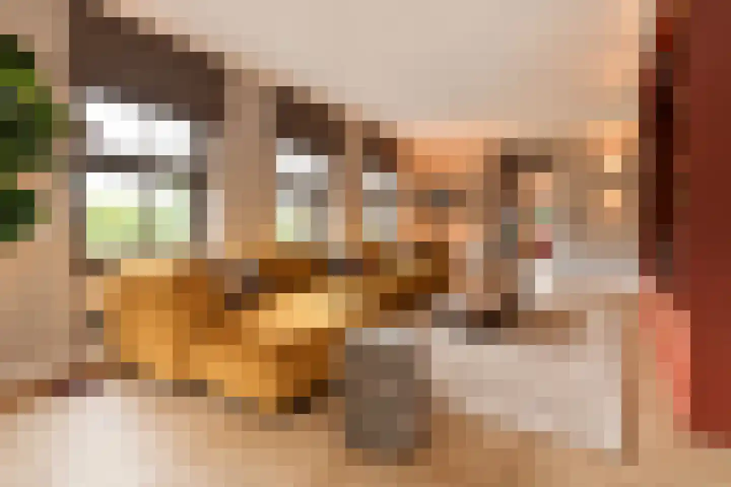 Oostrikkerstraat 17 Leende thumbnail 10