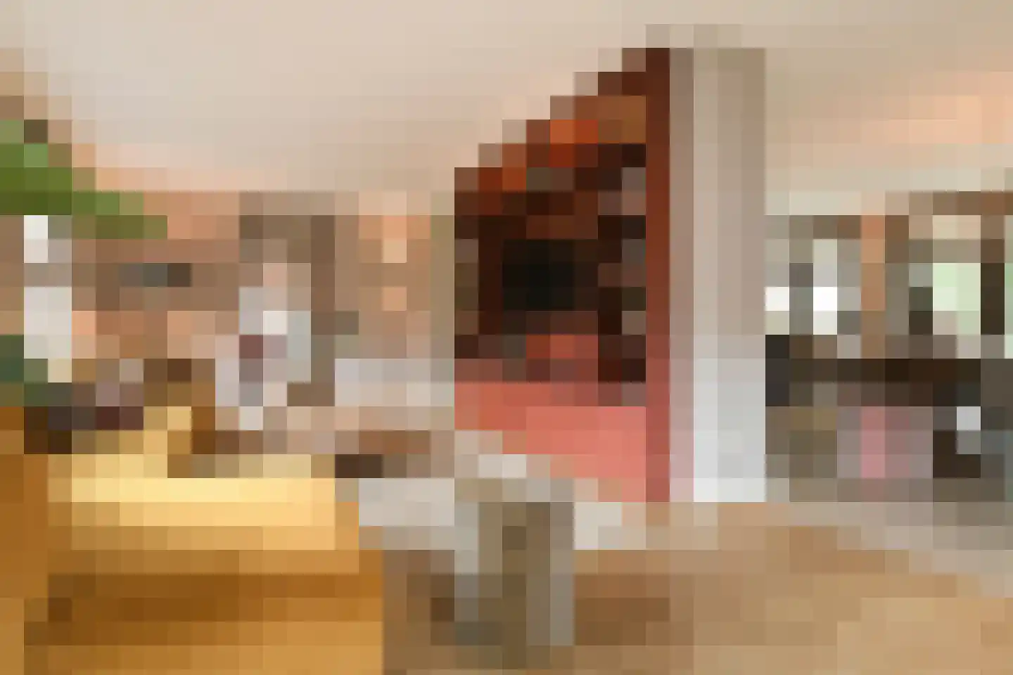 Oostrikkerstraat 17 Leende thumbnail 11