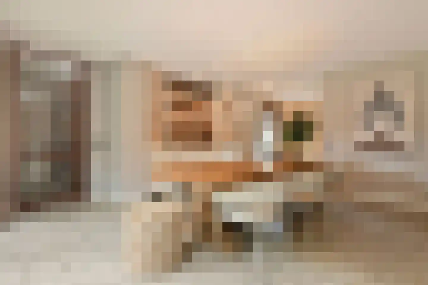 Oostrikkerstraat 17 Leende thumbnail 18