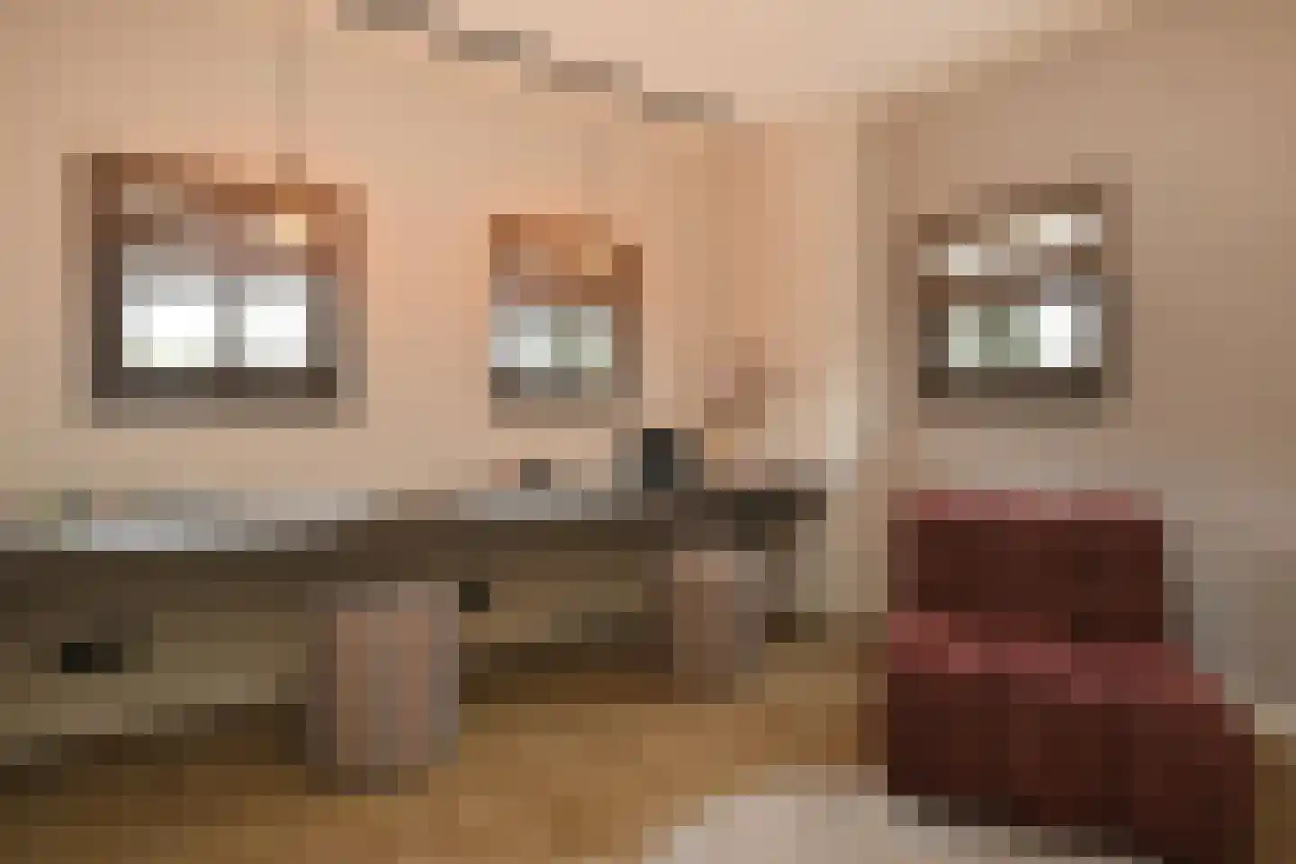 Oostrikkerstraat 17 Leende thumbnail 29