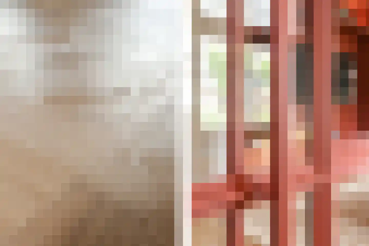 Oostrikkerstraat 17 Leende thumbnail 30