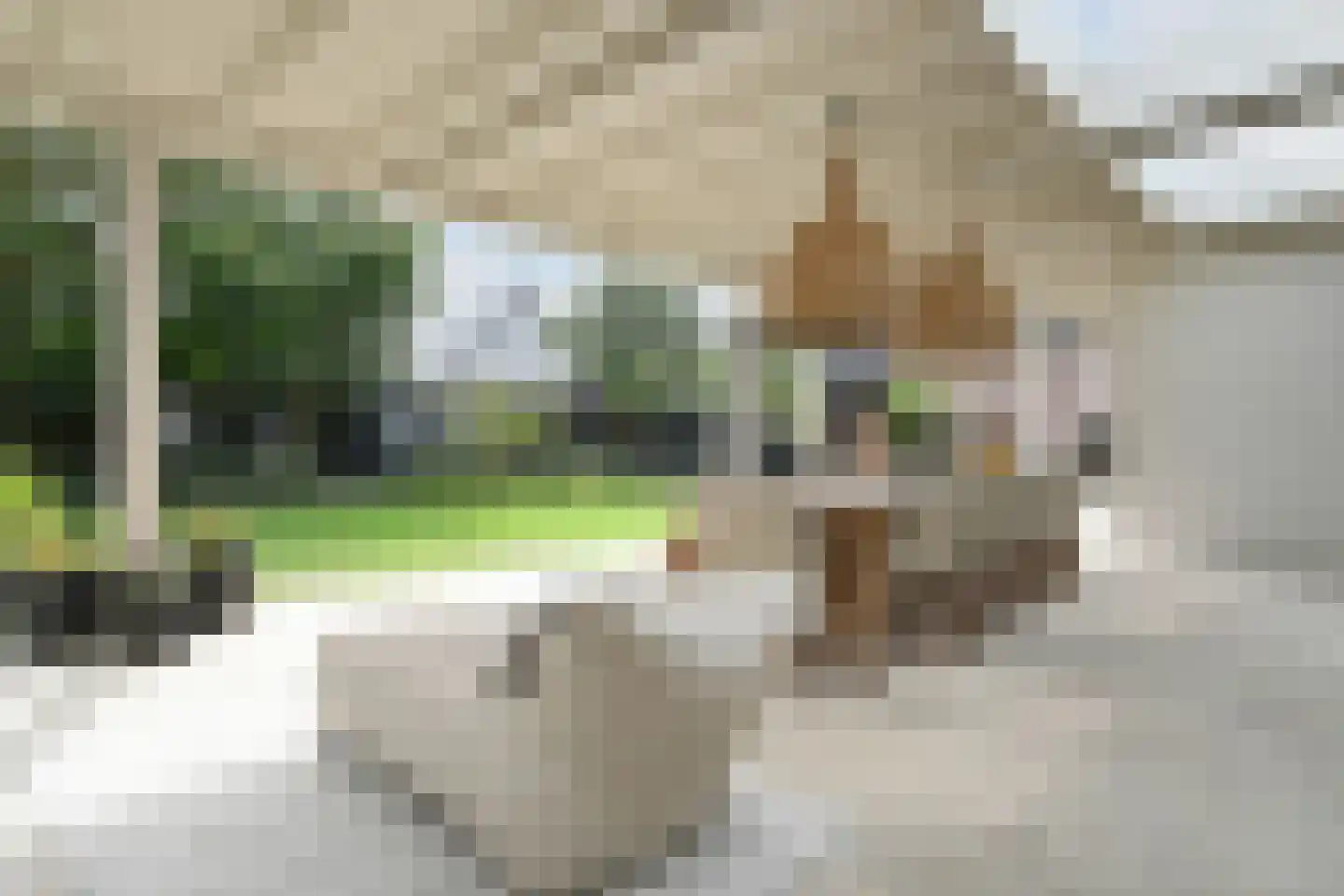 Oostrikkerstraat 17 Leende thumbnail 41