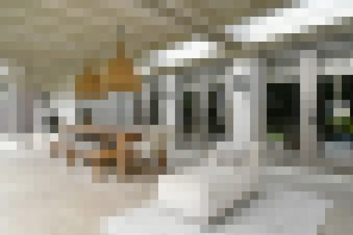 Oostrikkerstraat 17 Leende thumbnail 42