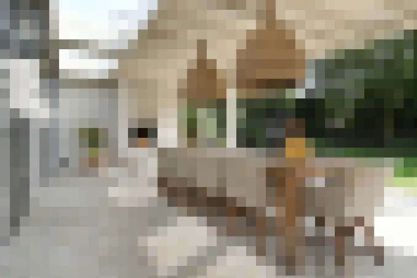 Oostrikkerstraat 17 Leende thumbnail 44