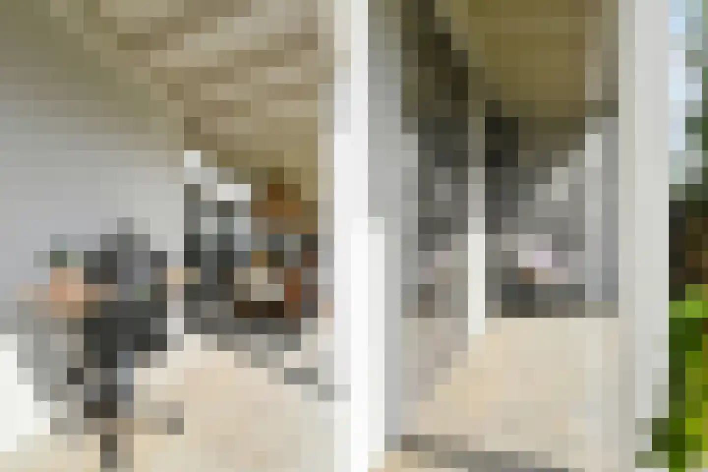 Oostrikkerstraat 17 Leende thumbnail 46