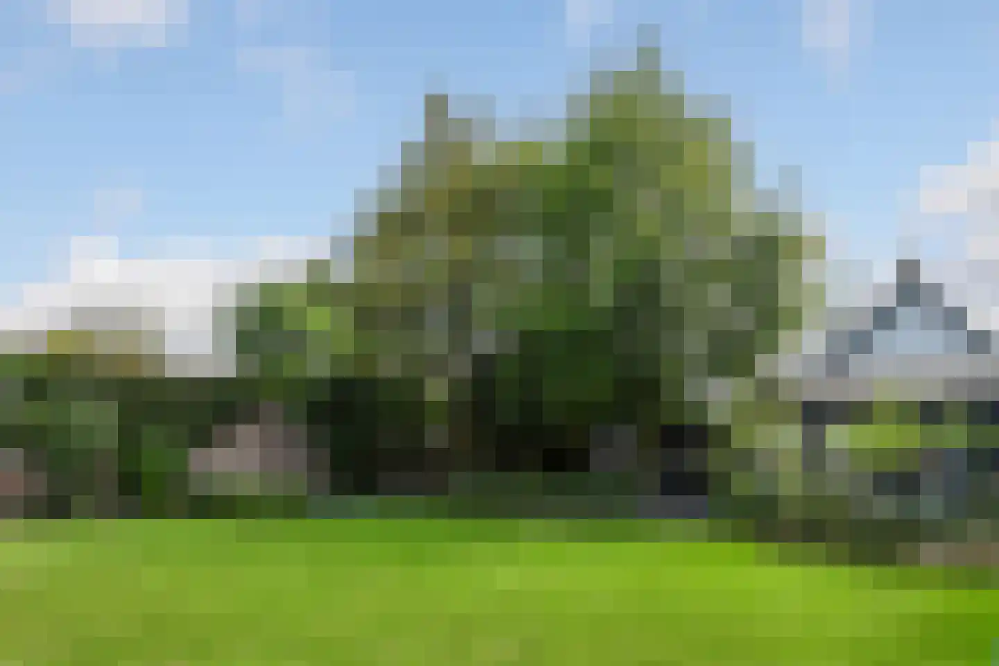 Oostrikkerstraat 17 Leende thumbnail 50
