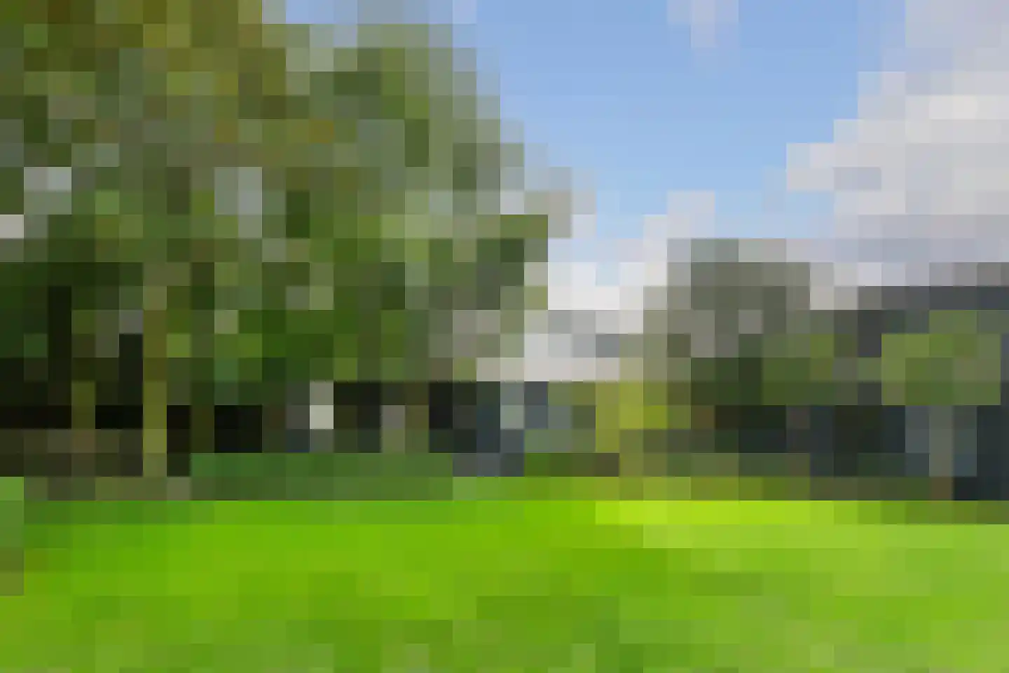 Oostrikkerstraat 17 Leende thumbnail 51
