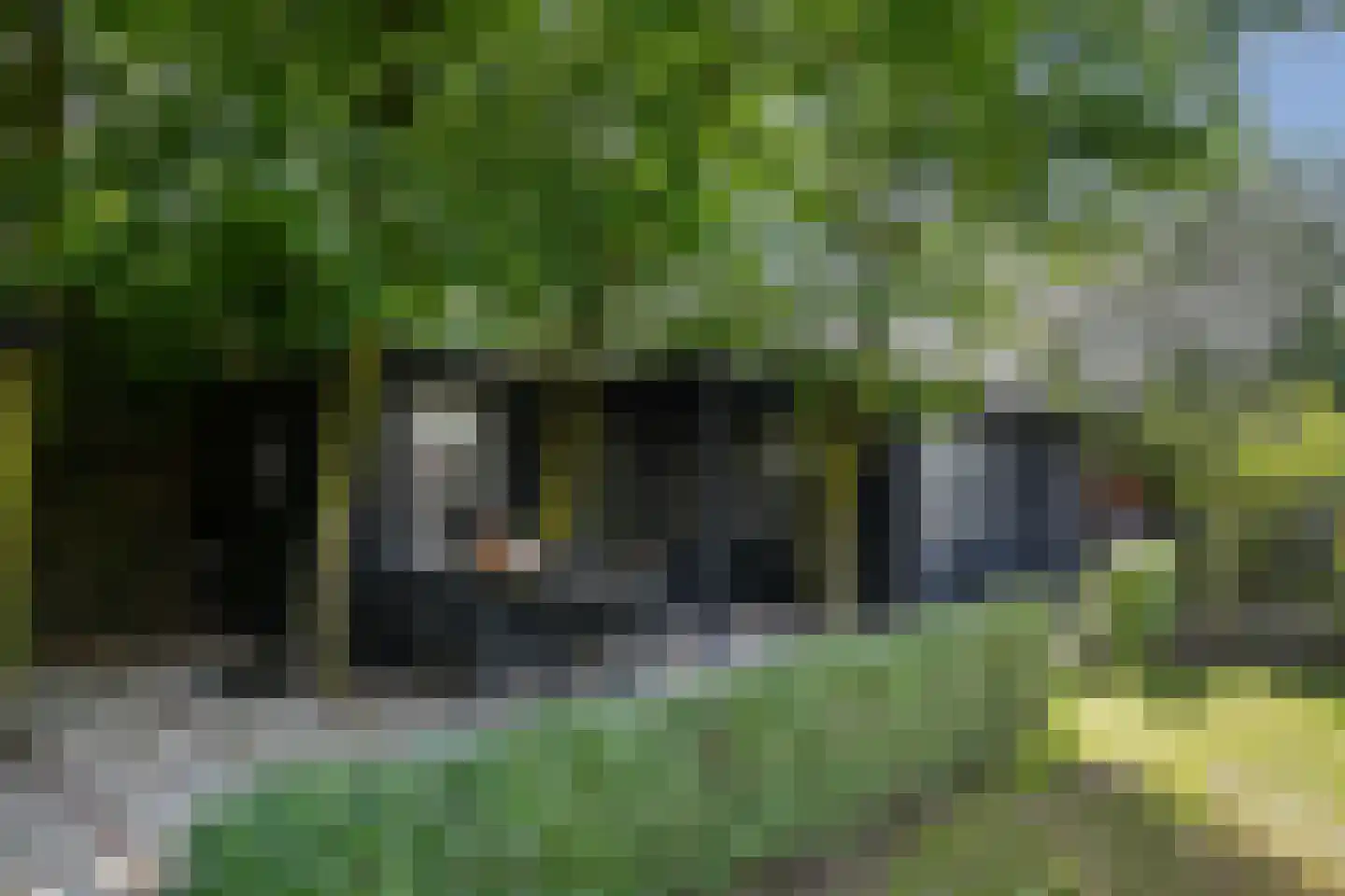 Oostrikkerstraat 17 Leende thumbnail 52