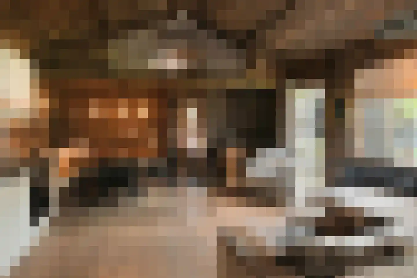 Oostrikkerstraat 17 Leende thumbnail 54