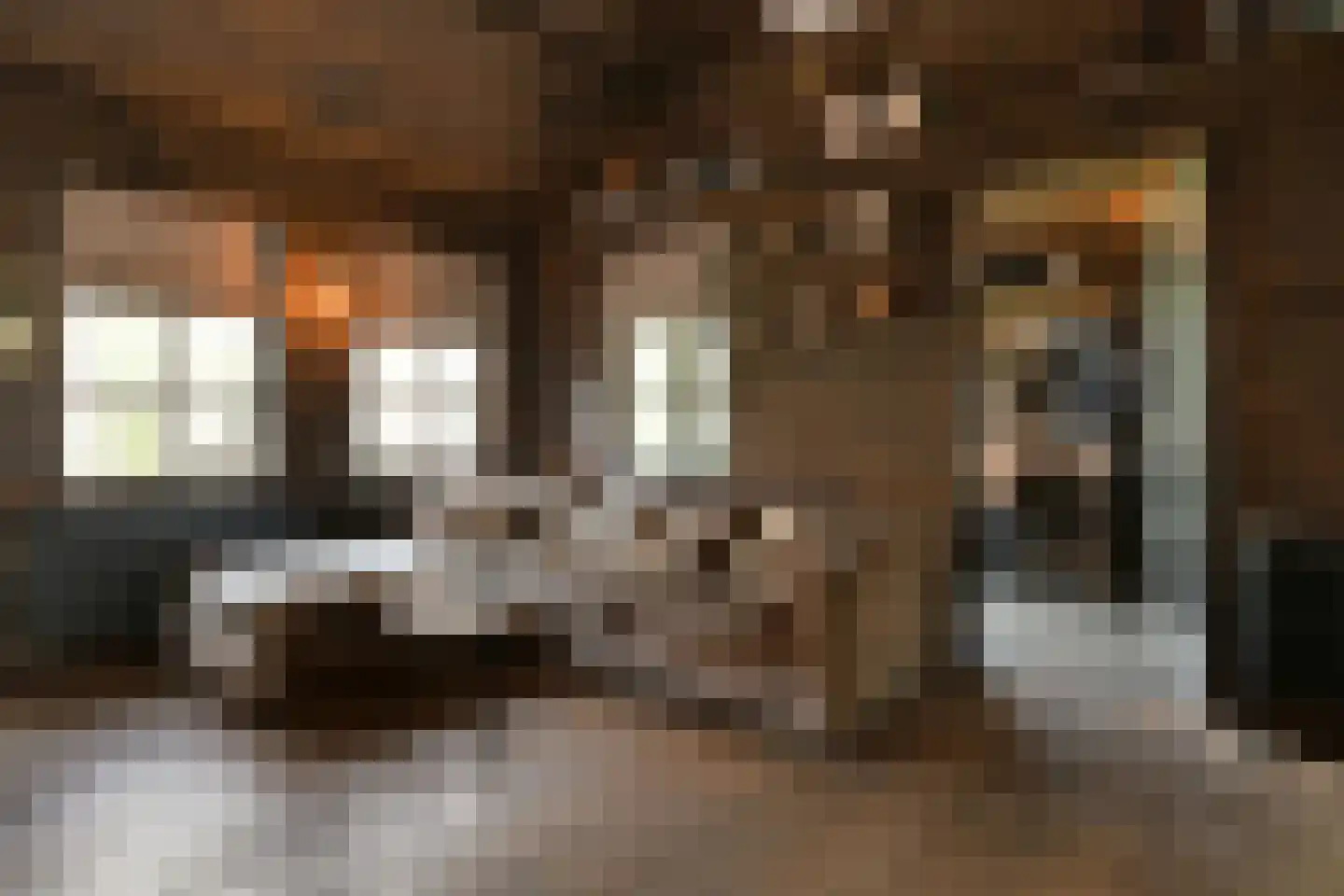 Oostrikkerstraat 17 Leende thumbnail 55