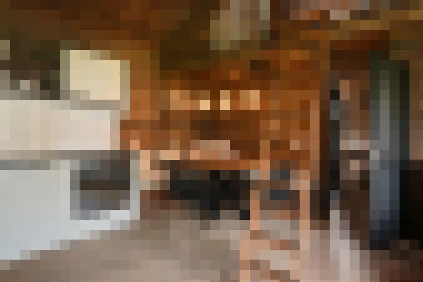 Oostrikkerstraat 17 Leende thumbnail 57