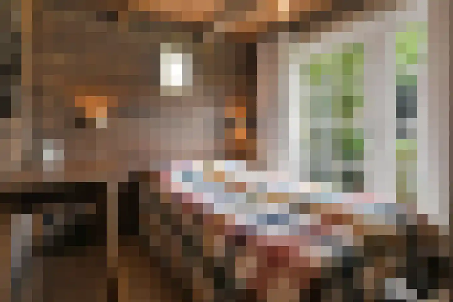 Oostrikkerstraat 17 Leende thumbnail 58