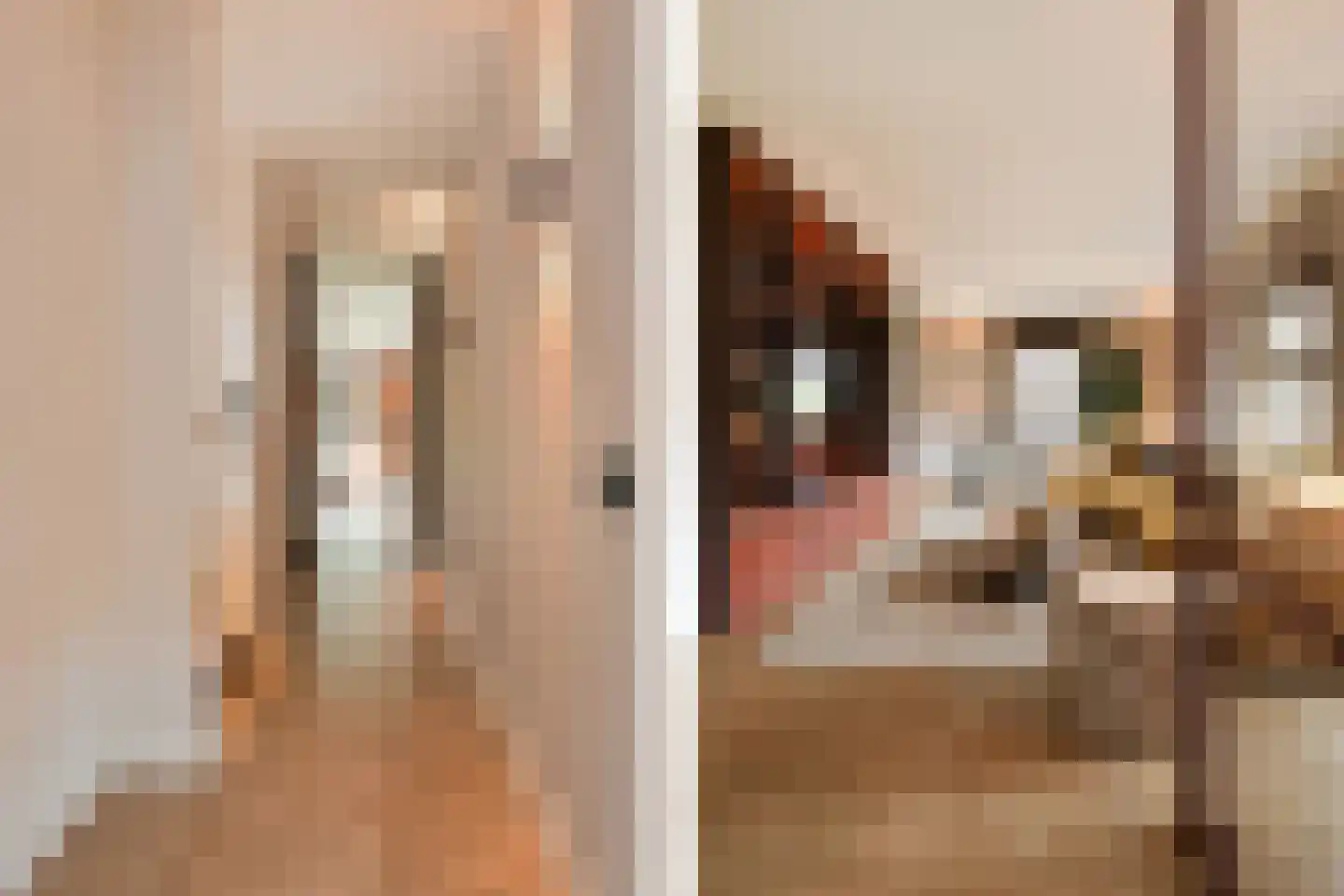 Oostrikkerstraat 17 Leende thumbnail 7