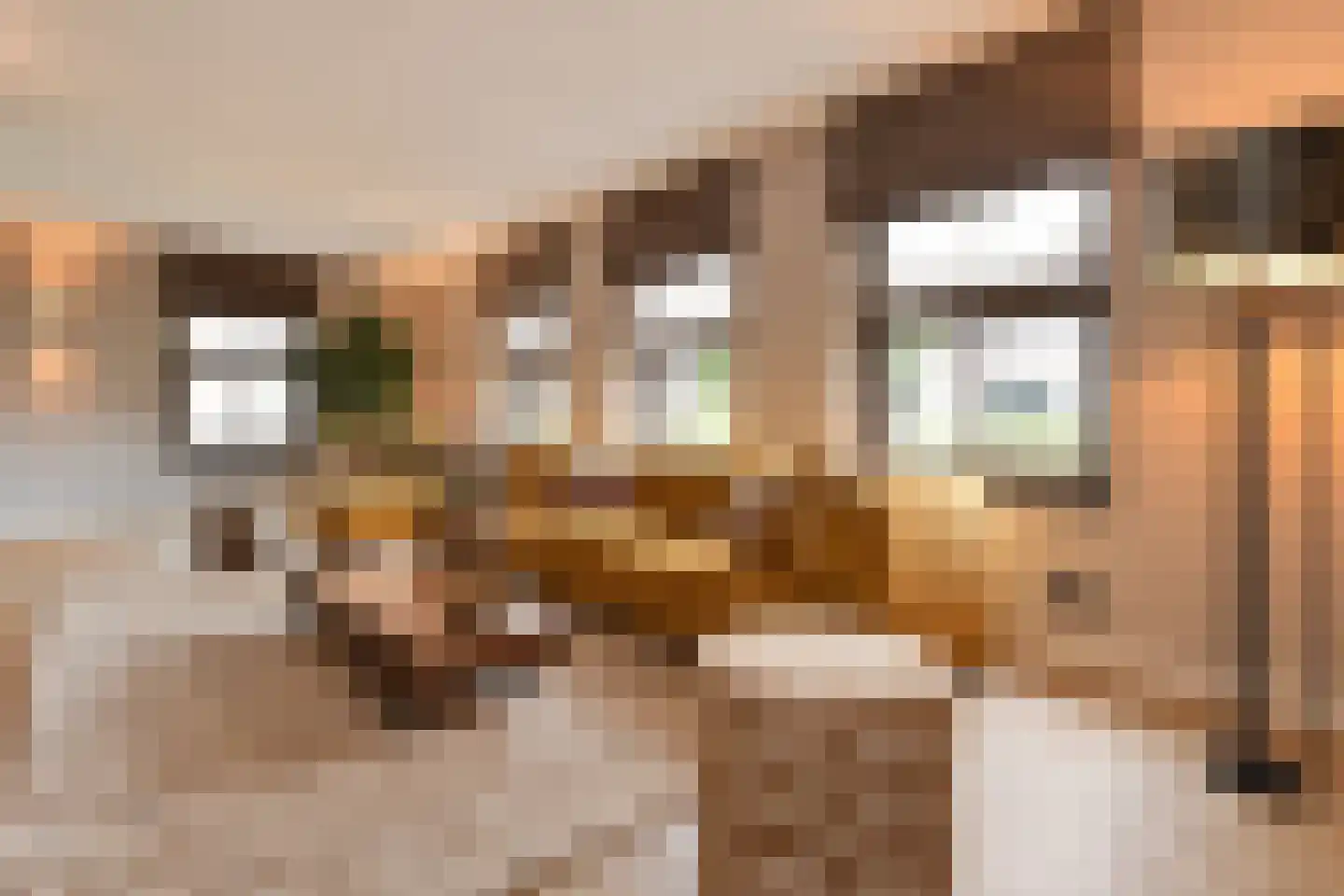 Oostrikkerstraat 17 Leende thumbnail 8
