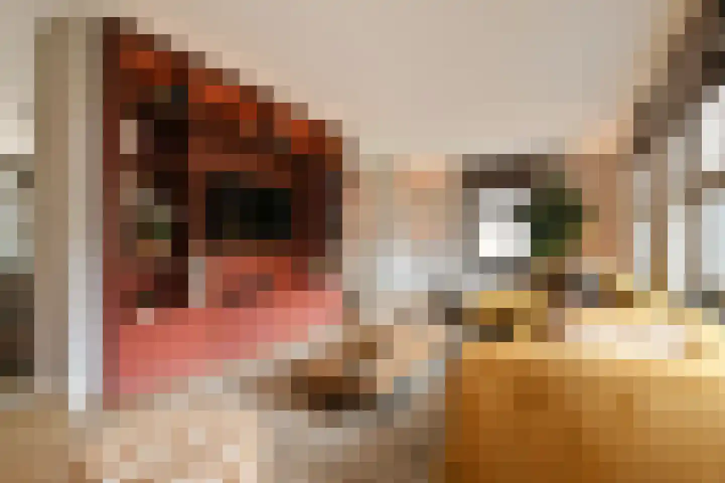 Oostrikkerstraat 17 Leende thumbnail 9