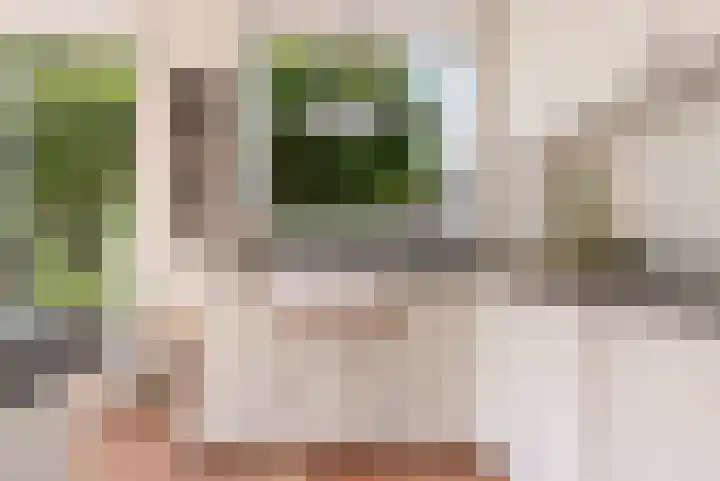 Oostrumsdijkje 3 Houten thumbnail 20