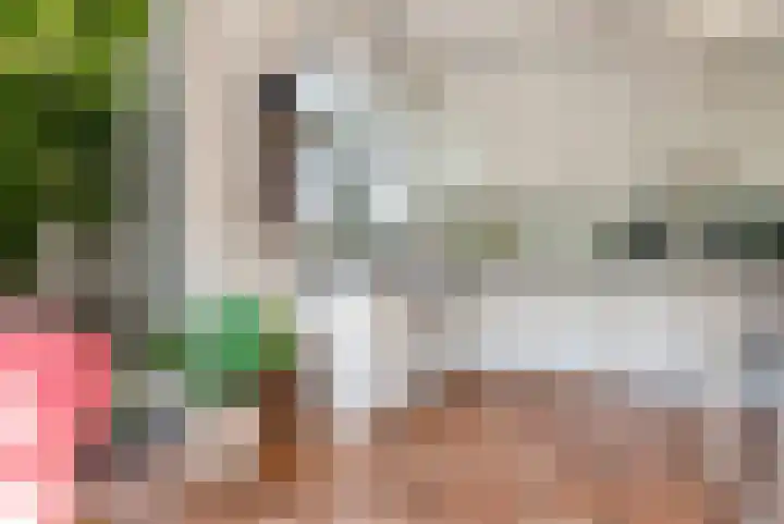 Oostrumsdijkje 3 Houten thumbnail 21