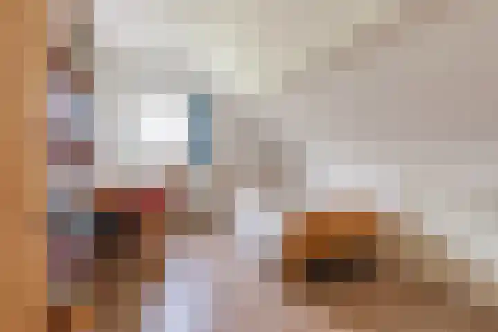 Oostrumsdijkje 3 Houten thumbnail 26