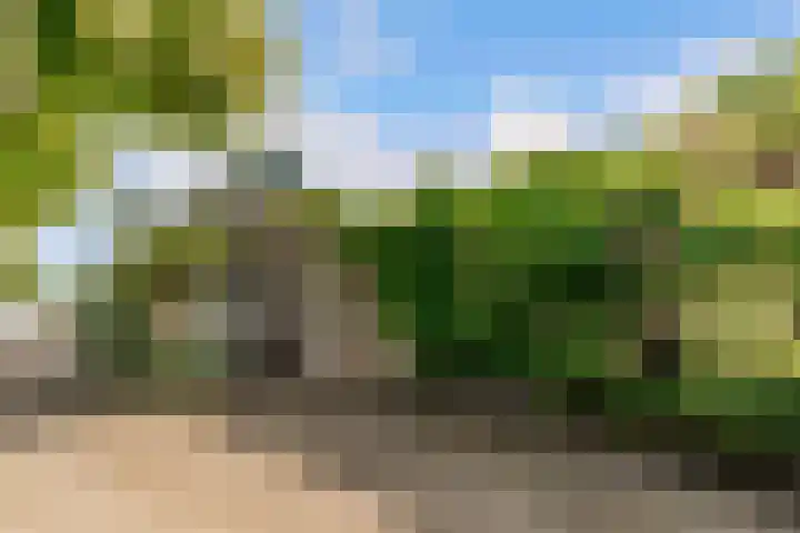 Oostrumsdijkje 3 Houten thumbnail 33