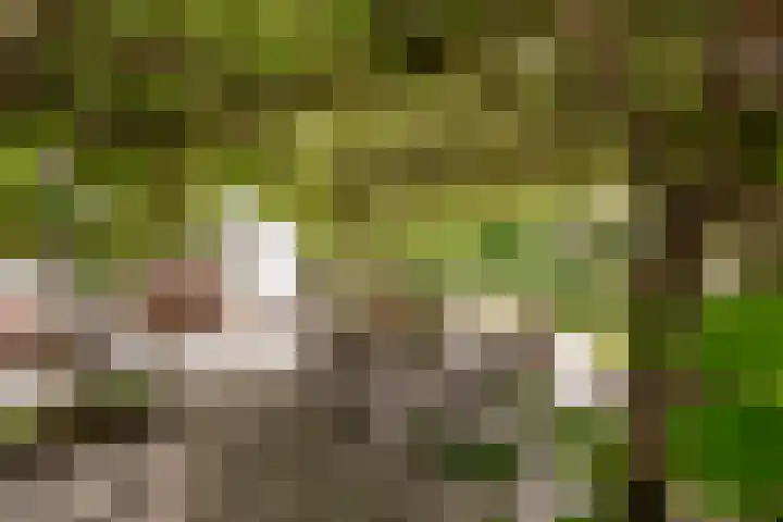 Oostrumsdijkje 3 Houten thumbnail 34