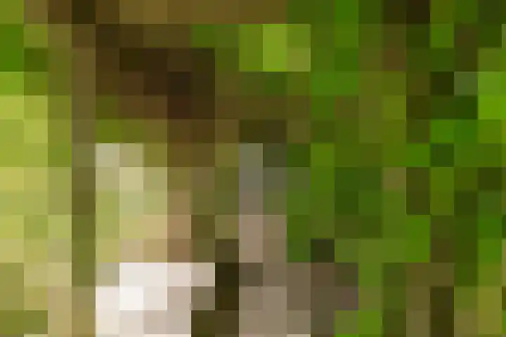 Oostrumsdijkje 3 Houten thumbnail 35