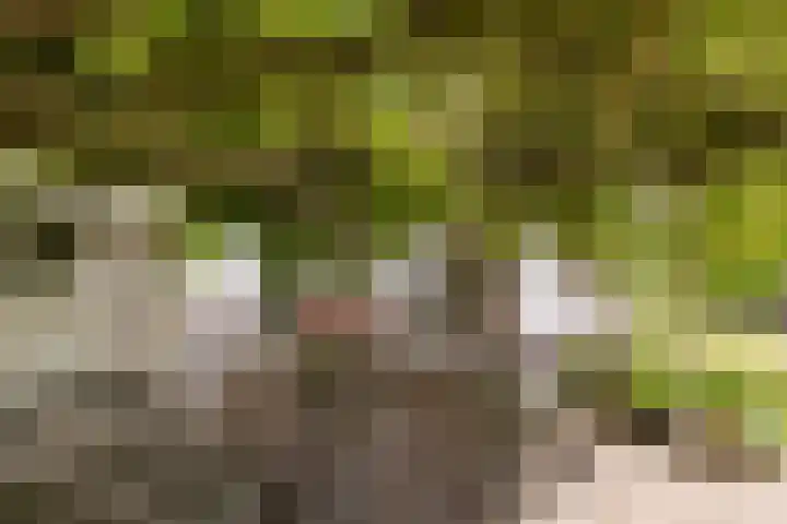 Oostrumsdijkje 3 Houten thumbnail 36