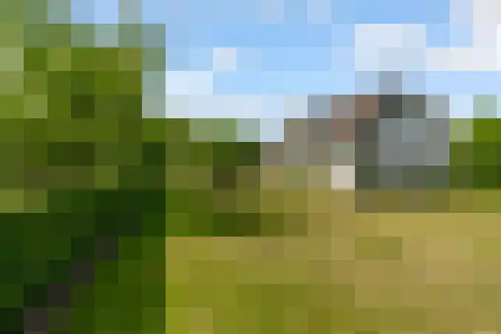 Oostrumsdijkje 3 Houten thumbnail 37