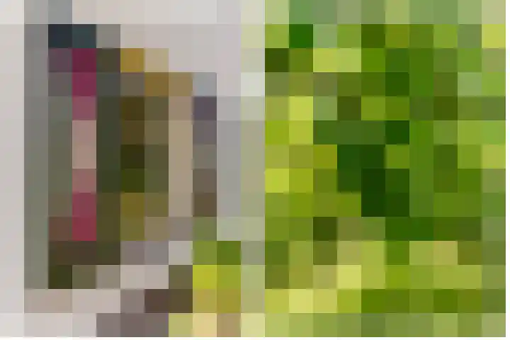 Oostrumsdijkje 3 Houten thumbnail 38