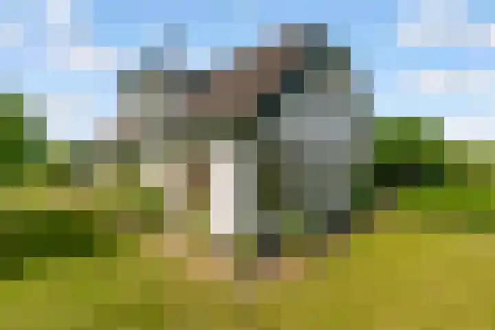 Oostrumsdijkje 3 Houten thumbnail 4