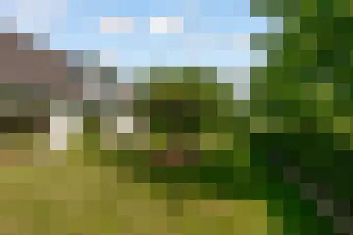 Oostrumsdijkje 3 Houten thumbnail 40